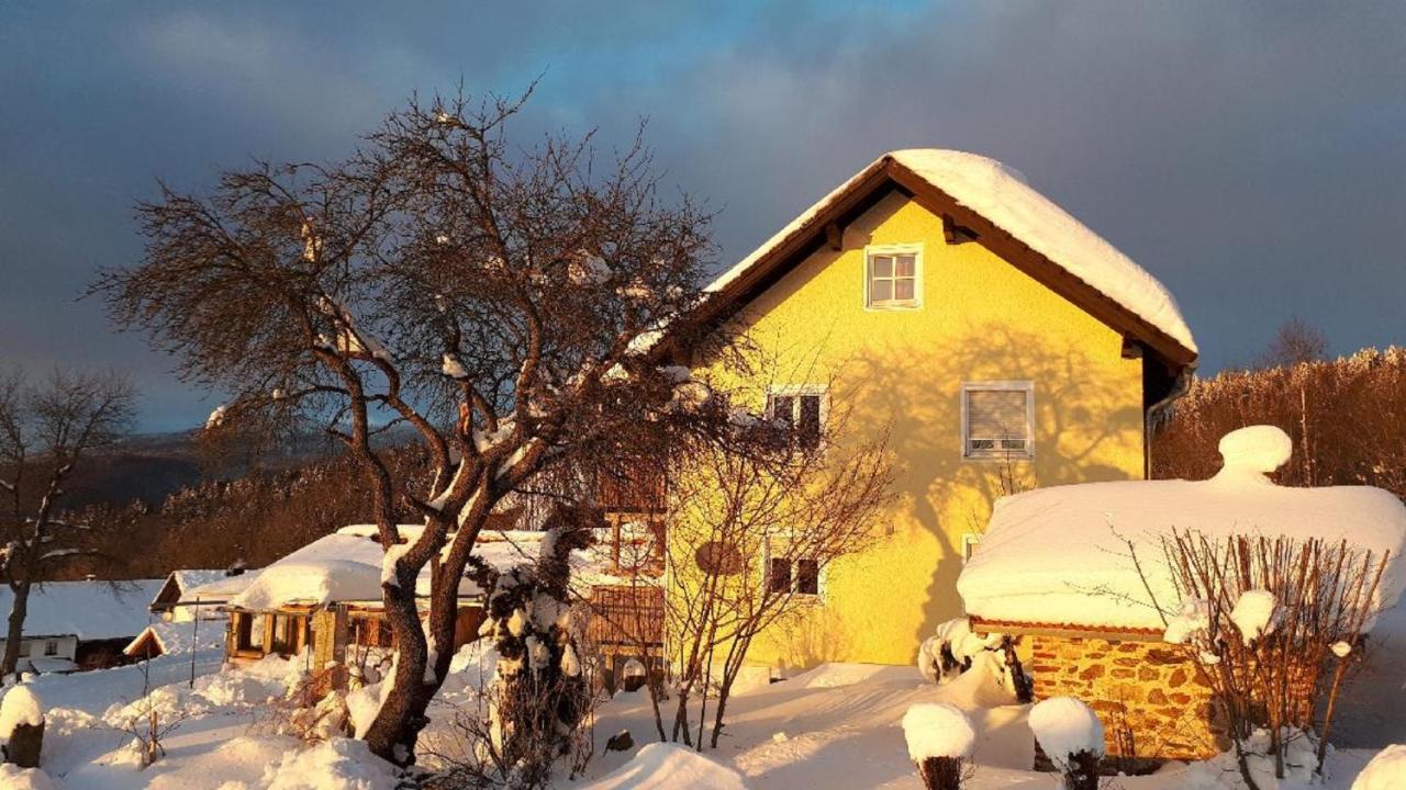 Ferienwohnung Sigi'S Waldhaus Neuschönau Buitenkant foto